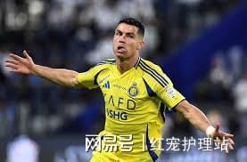 关于体育传奇再度辉煌:争夺尊严的殊荣的信息 关于体育传奇再度辉煌:争夺尊严的殊荣的信息